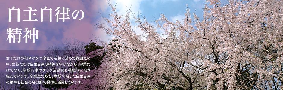天博下载官网下载